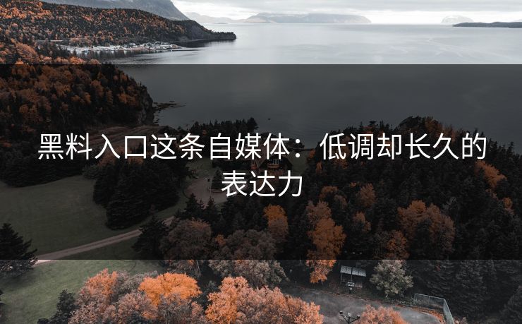 黑料入口这条自媒体:低调却长久的表达力 黑料入口这条自媒体:低调却长久的表达力